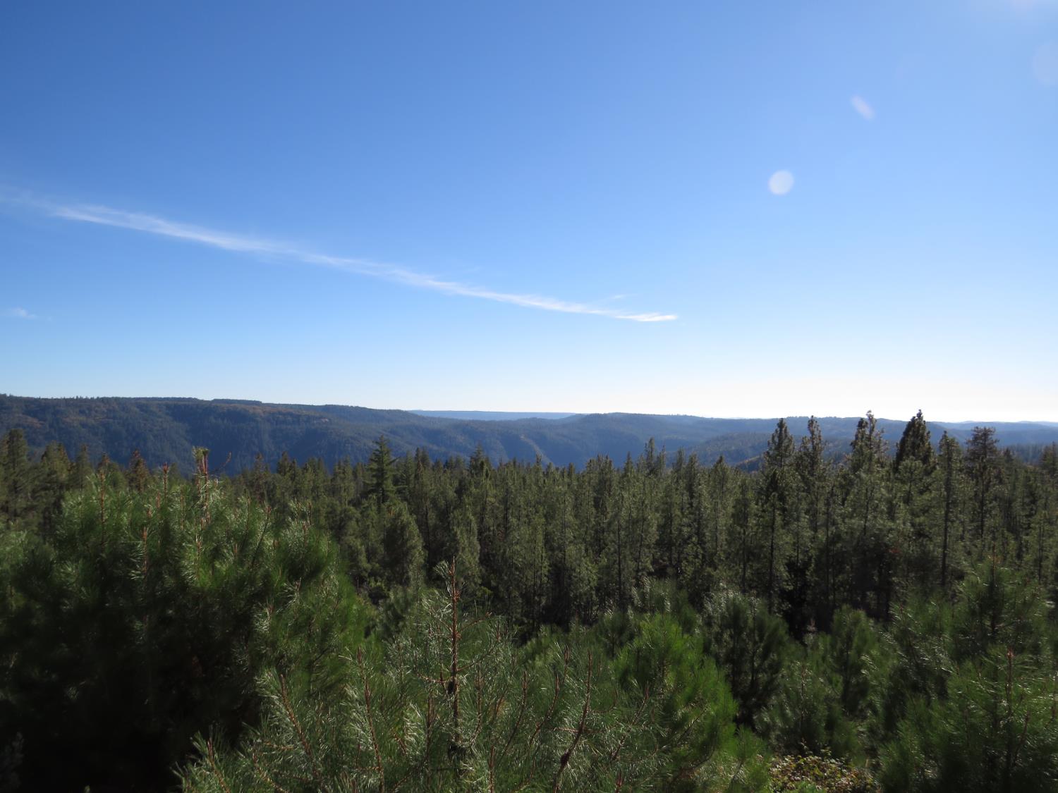 31180 Knob Cone Road Gold Run, CA 95717 - Photo 67 of 70