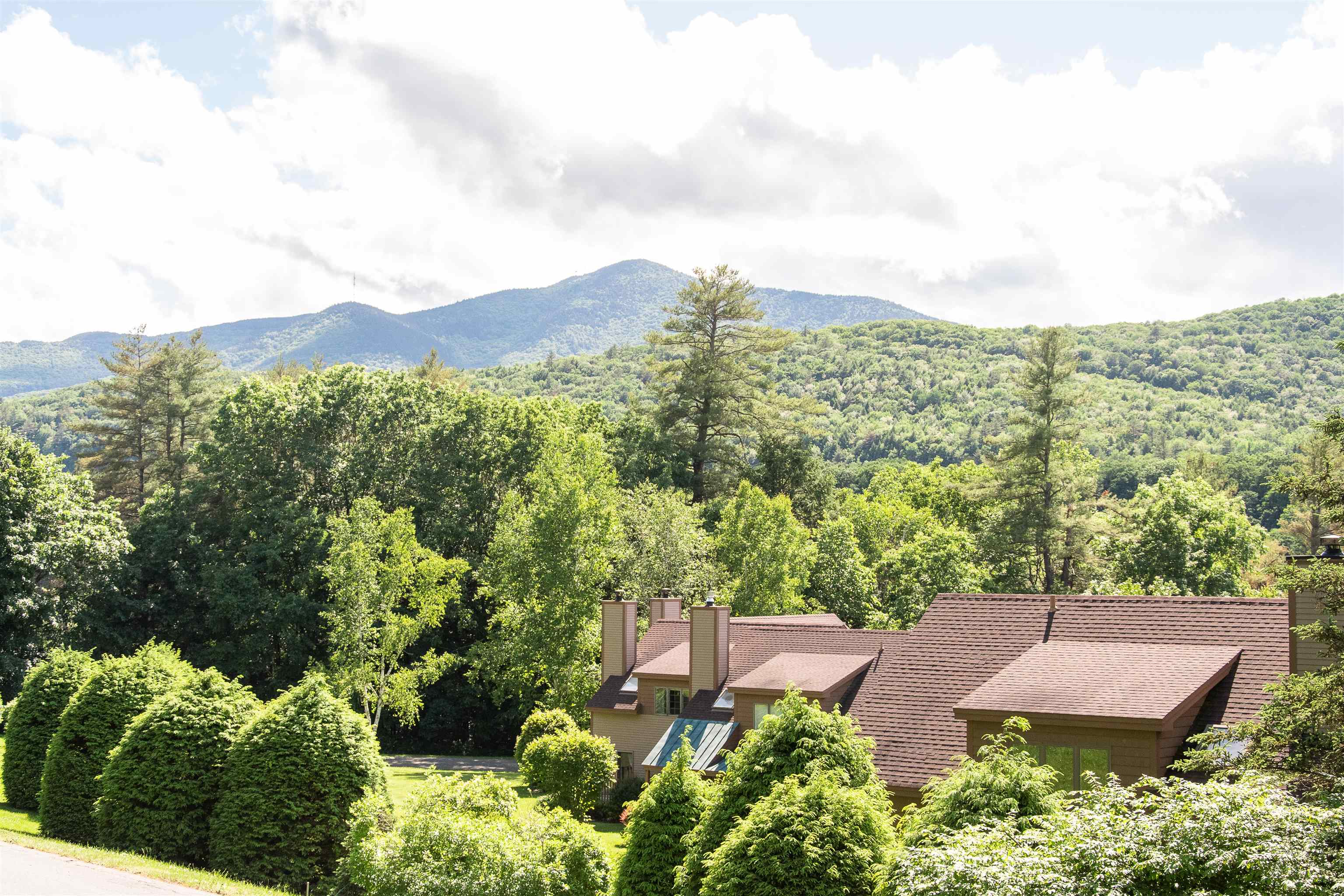 4 Old Mill Pond Road, Unit 4 Windsor, VT 05089 - Photo 4 of 36