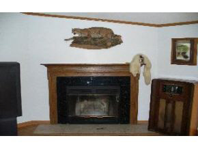 798 Box Bloomfield, IN 47424 - Photo 6 of 15 Gallery Image 6