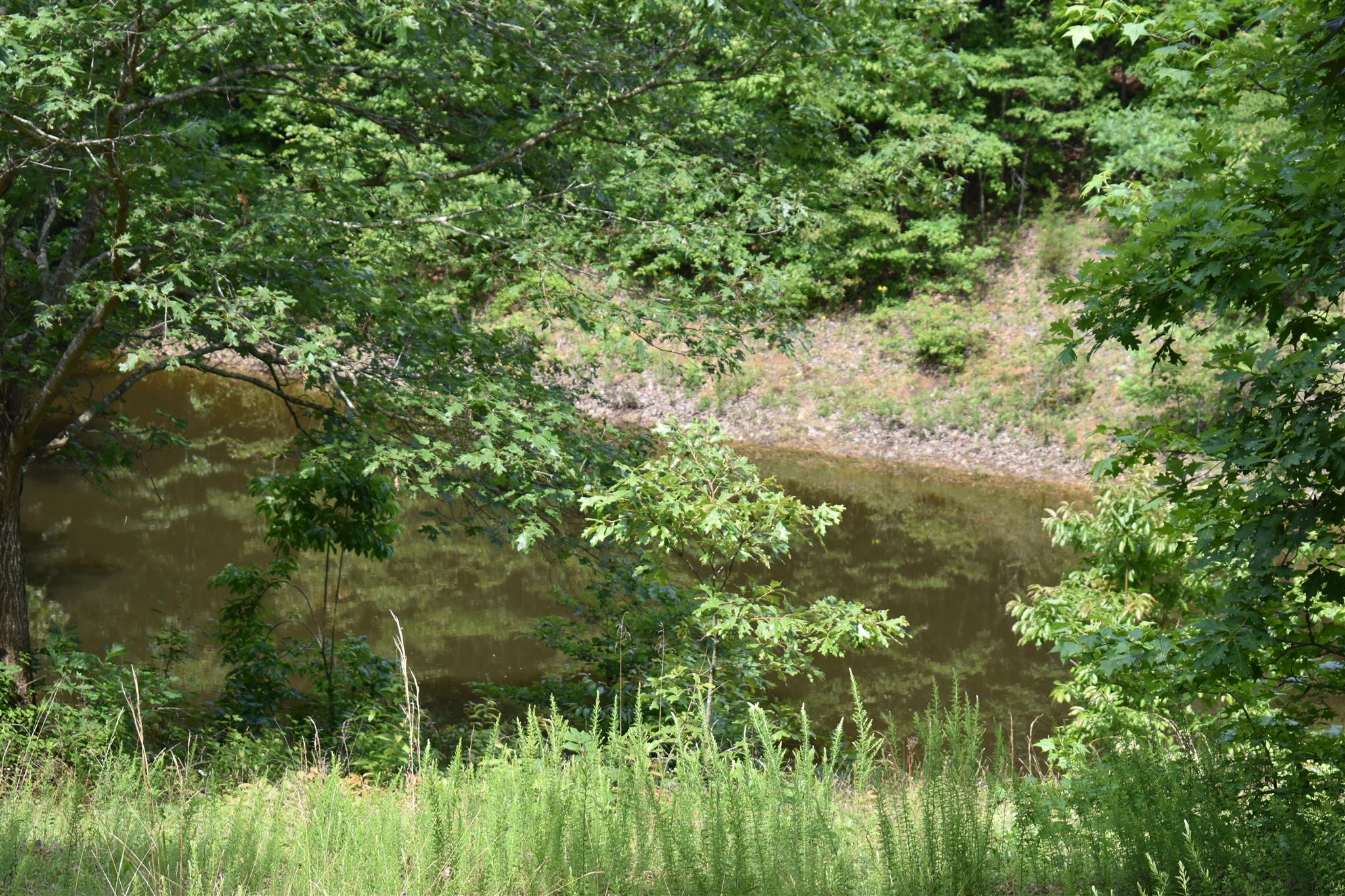 612 Old Powder Mill Road Ashland City, TN 37015 - Photo 2 of 8 Bring your fishing poles