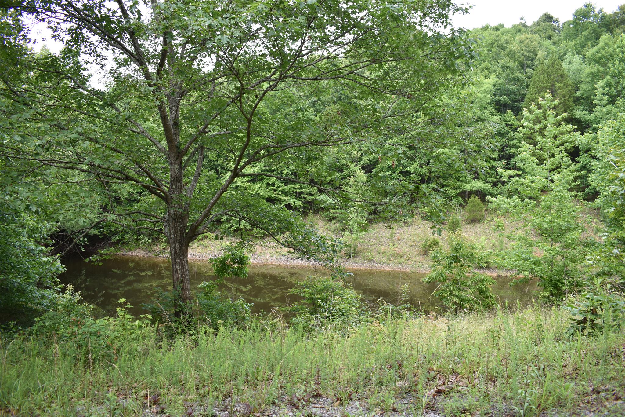 612 Old Powder Mill Road Ashland City, TN 37015 - Photo 3 of 8 Another view of the pond