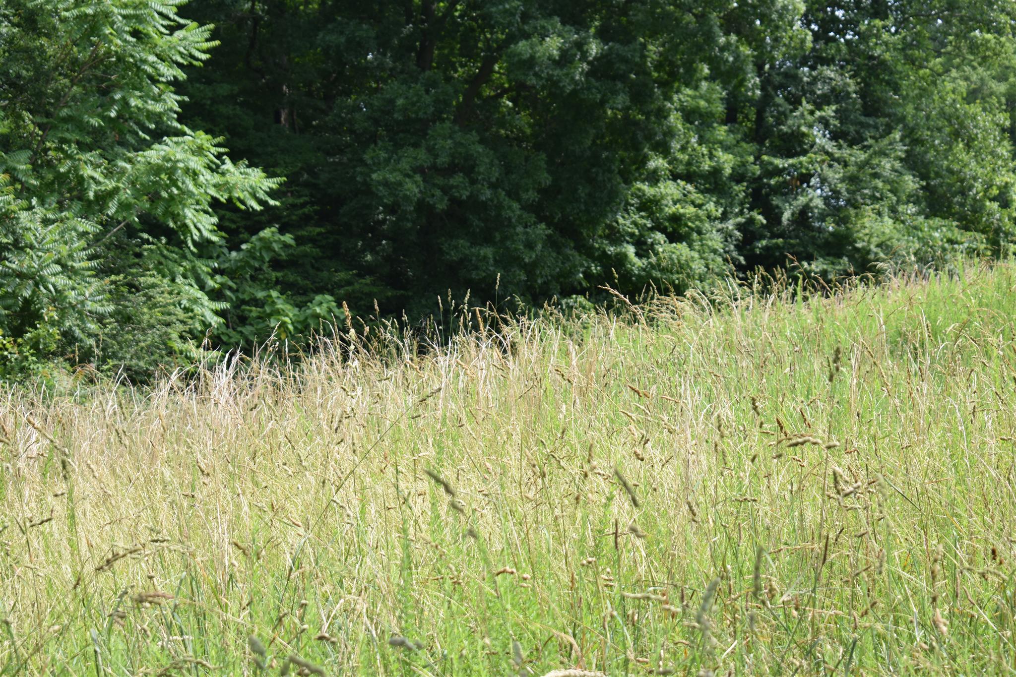 612 Old Powder Mill Road Ashland City, TN 37015 - Photo 7 of 8 Gallery Image 7