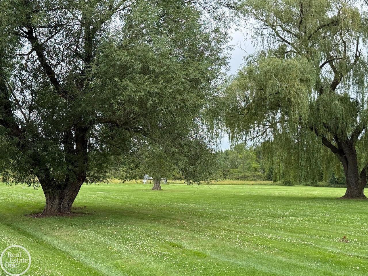 15594 Bryce Road Capac, MI 48014 - Photo 22 of 44 Gallery Image 22