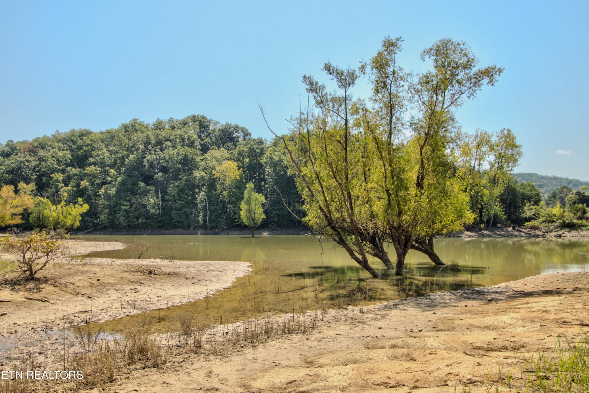 110 Rankin Hill Road Newport, TN 37821 - Photo 51 of 58 Gallery Image 51