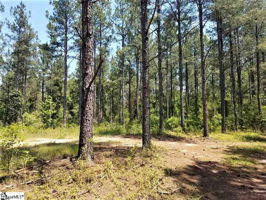 1014 Watson Hill Road Bradley, SC 29819 - Photo 2 of 14 Gallery Image 2