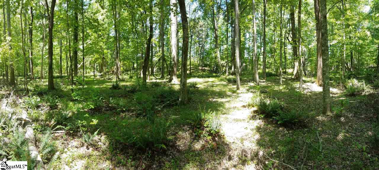 1014 Watson Hill Road Bradley, SC 29819 - Photo 11 of 14 Gallery Image 11