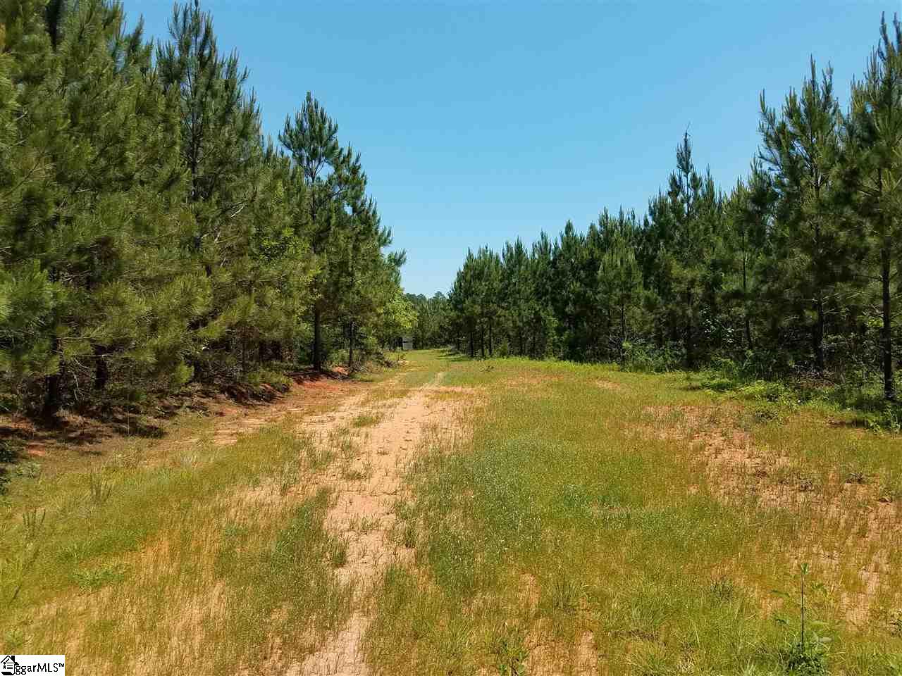 1014 Watson Hill Road Bradley, SC 29819 - Photo 12 of 14 Gallery Image 12