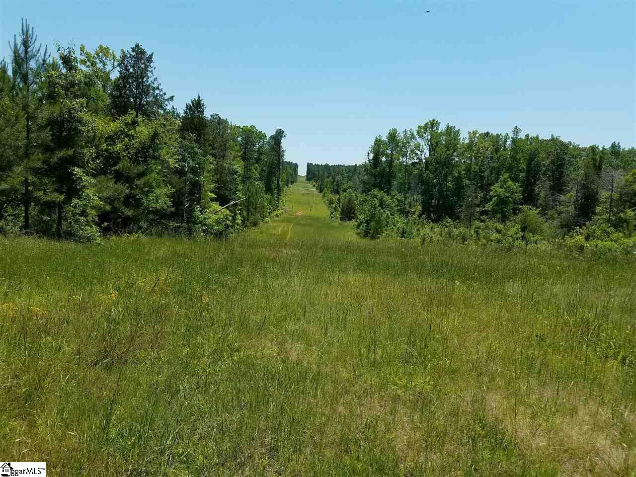 1014 Watson Hill Road Bradley, SC 29819 - Photo 3 of 14 Gallery Image 3