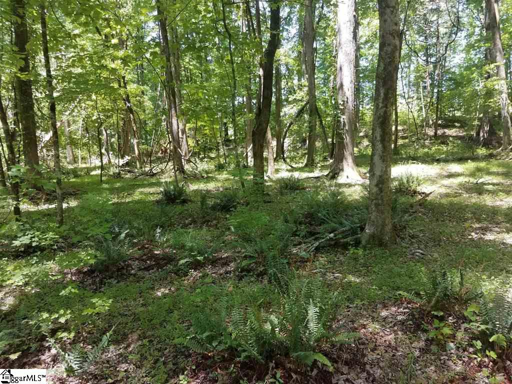 1014 Watson Hill Road Bradley, SC 29819 - Photo 7 of 14 Gallery Image 7