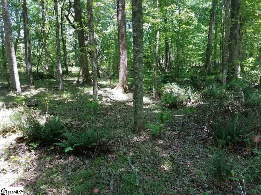 1014 Watson Hill Road Bradley, SC 29819 - Photo 8 of 14 Gallery Image 8