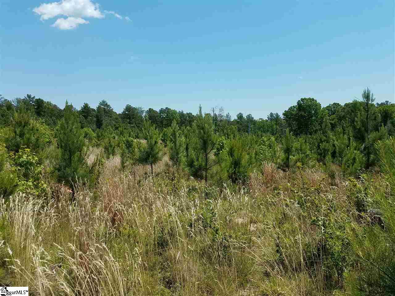 1014 Watson Hill Road Bradley, SC 29819 - Photo 9 of 14 Gallery Image 9