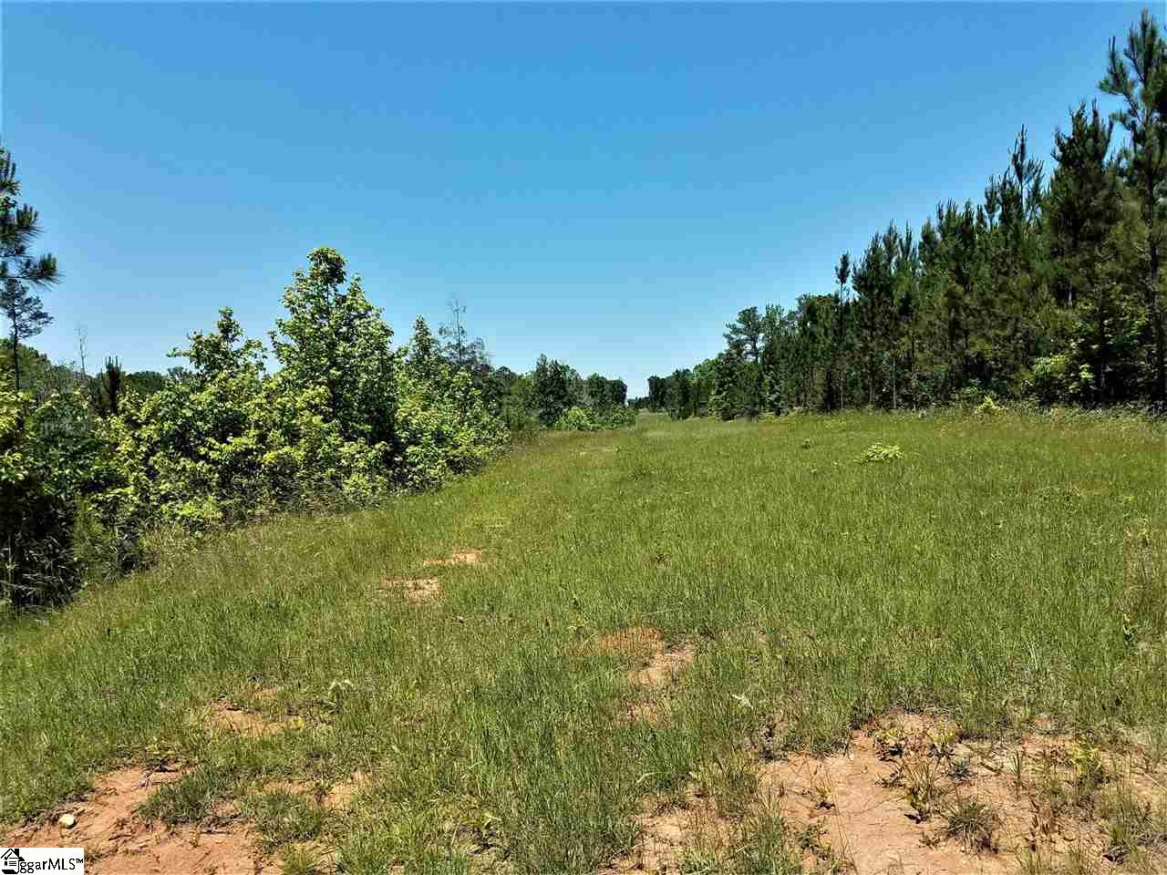 1014 Watson Hill Road Bradley, SC 29819 - Photo 10 of 14 Gallery Image 10