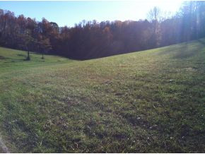 924-922 Bayless Road Jonesborough, TN 37659 - Photo 10 of 24 Meadow