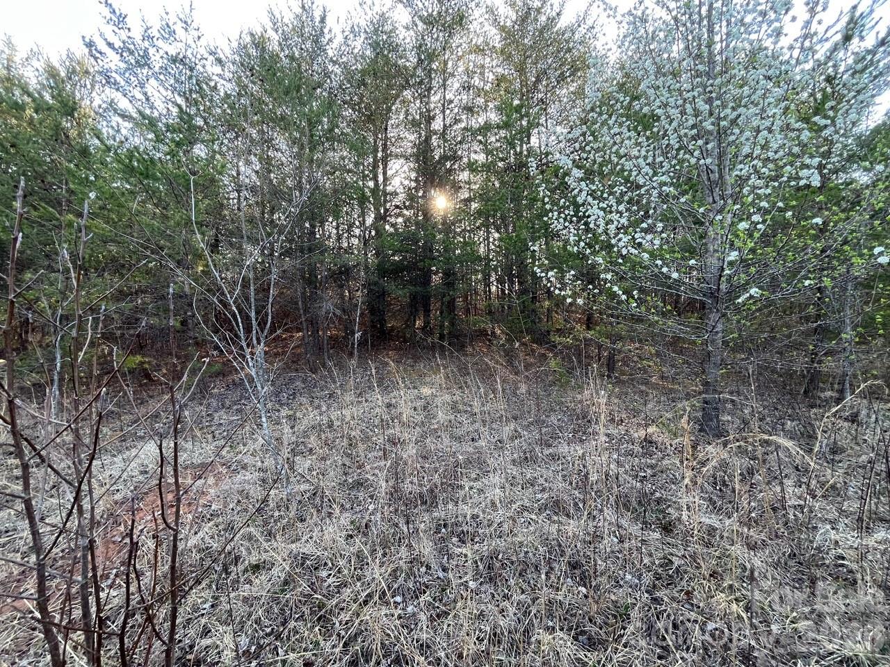 Tbd Southern Way Nebo, NC 28761 - Photo 17 of 22