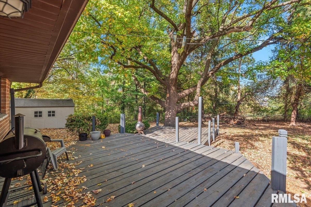 11 Bonnie Brook Road Chatham, IL 62629 - Photo 24 of 27