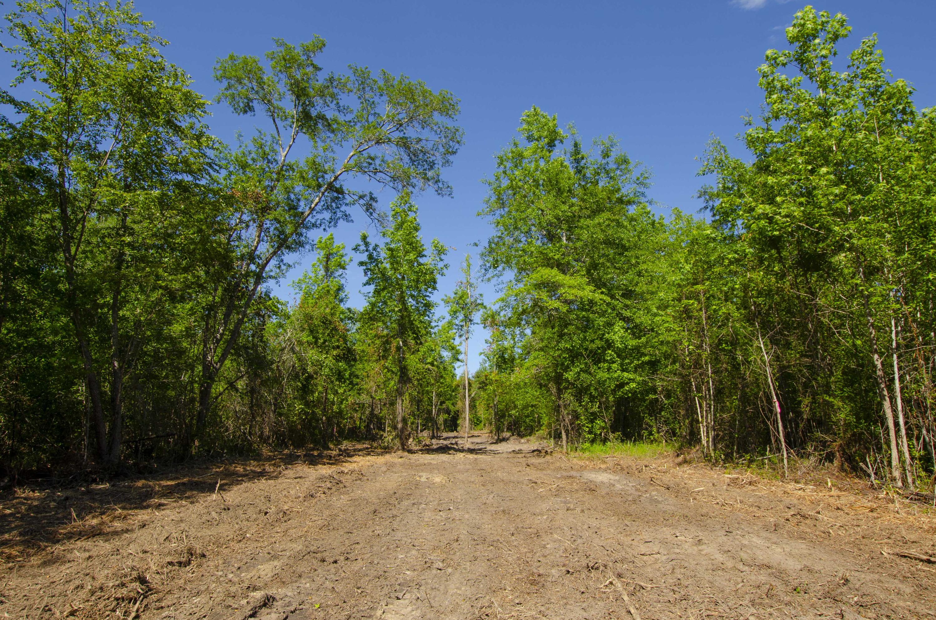 2 Corner Loop Georgetown, SC 29440 - Photo 11 of 17 3-Drive