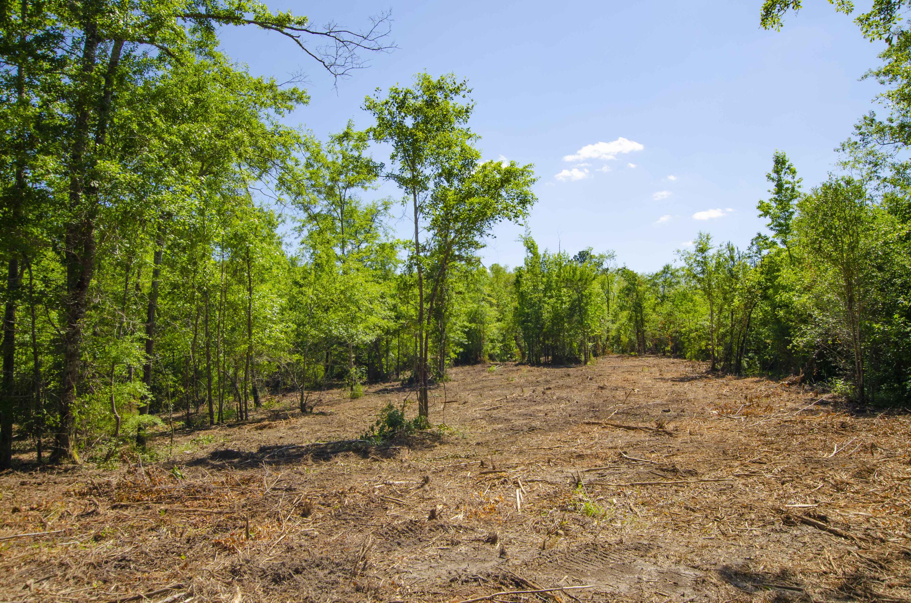 2 Corner Loop Georgetown, SC 29440 - Photo 13 of 17 5-Mid-Lot