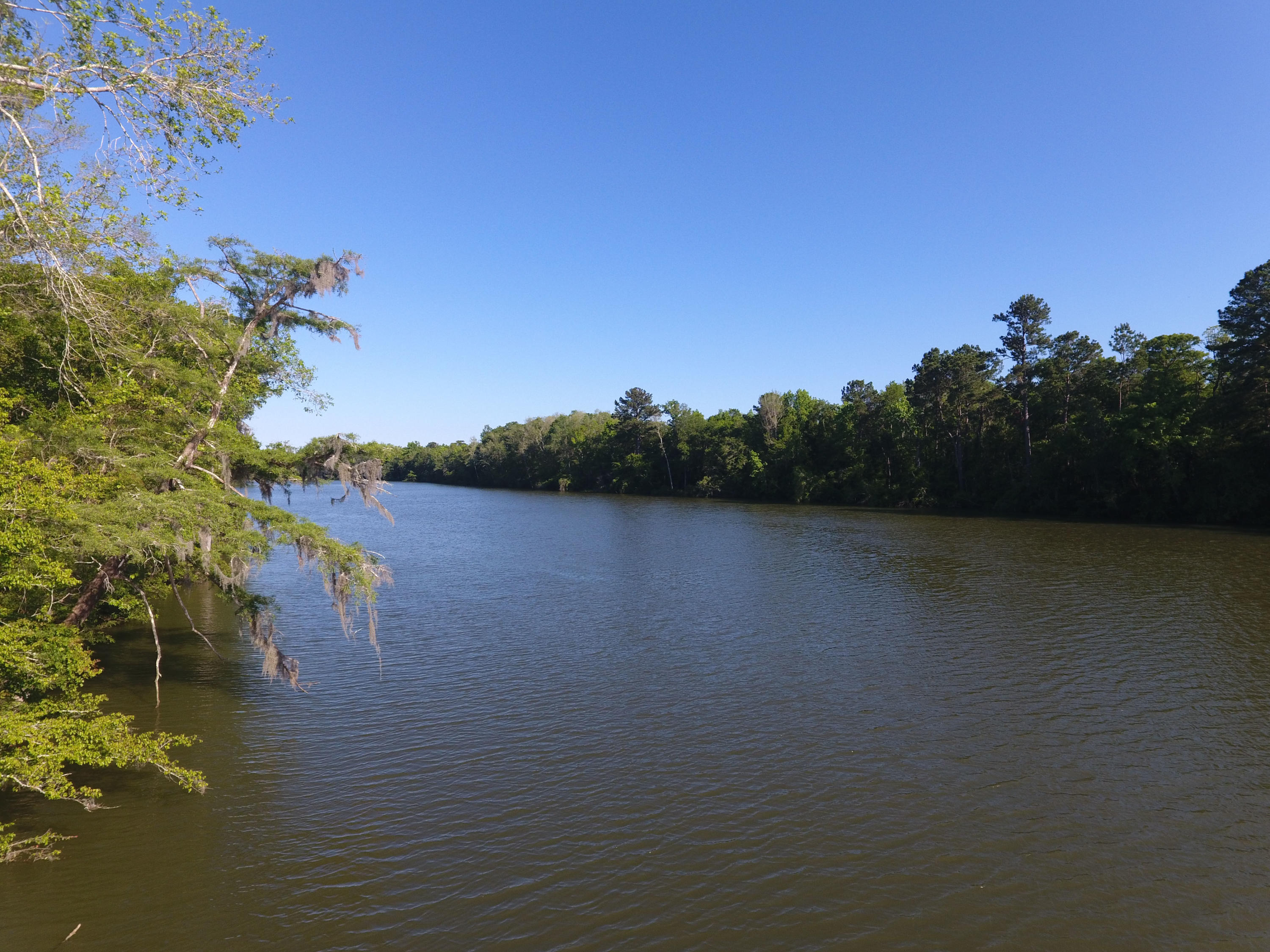 2 Corner Loop Georgetown, SC 29440 - Photo 16 of 17 Down-River