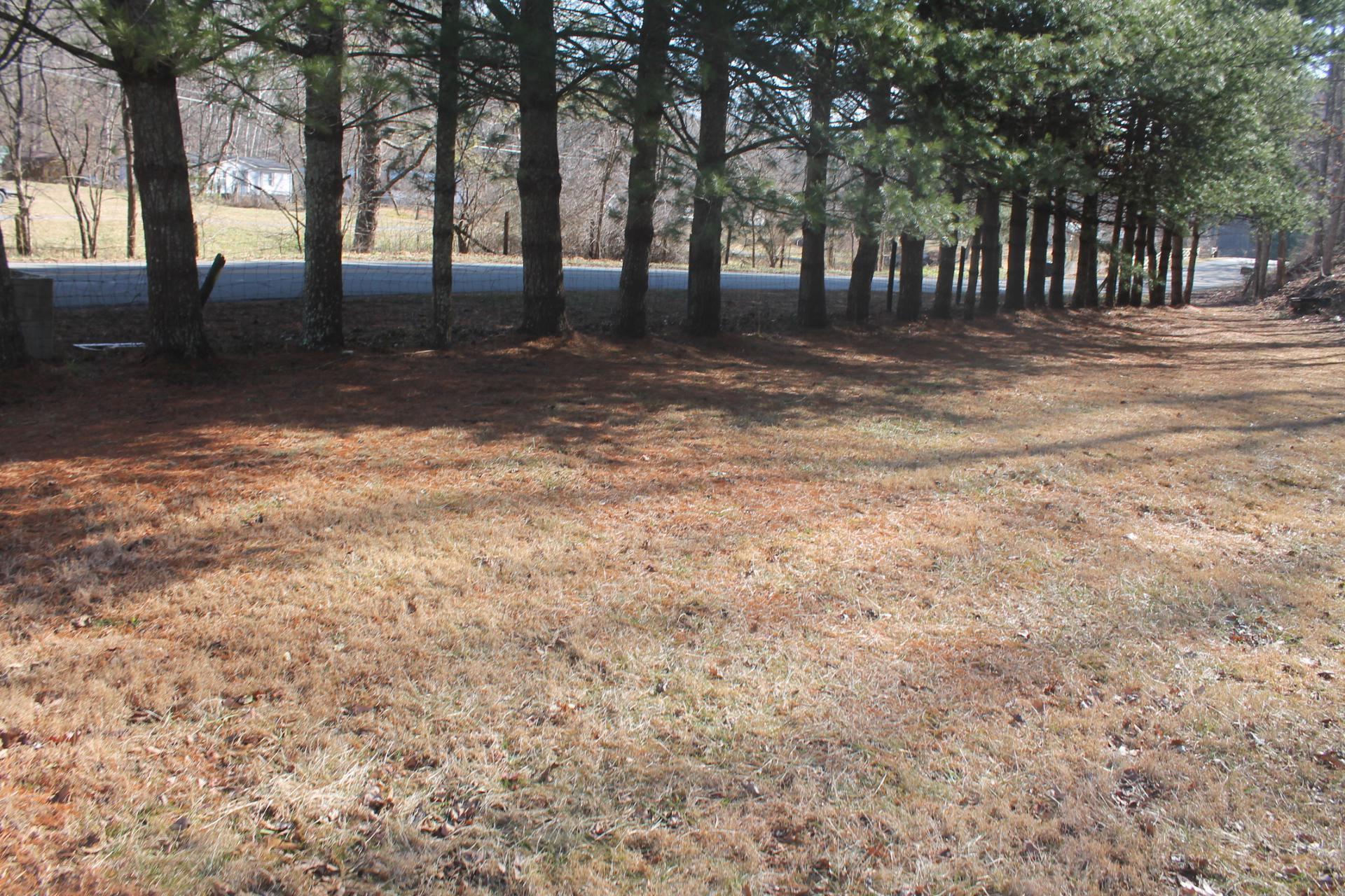5406 Johnson Creek Road Covington, VA 24426 - Photo 30 of 31 IMG_2385 dated