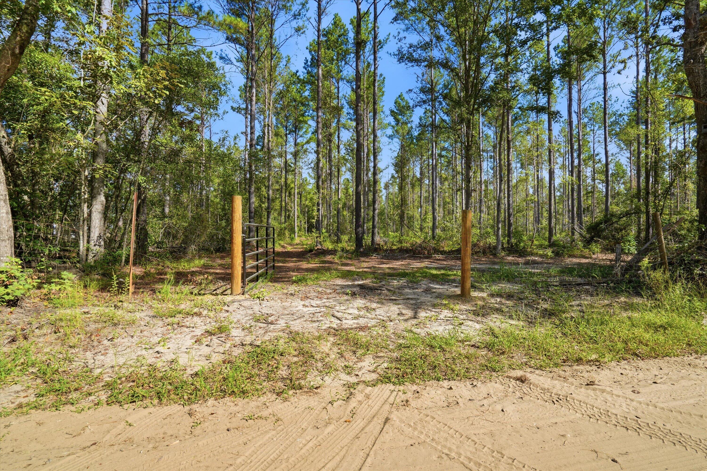 0 Barracada Road Walterboro, SC 29488 - Photo 3 of 26 02-002_DSC01460
