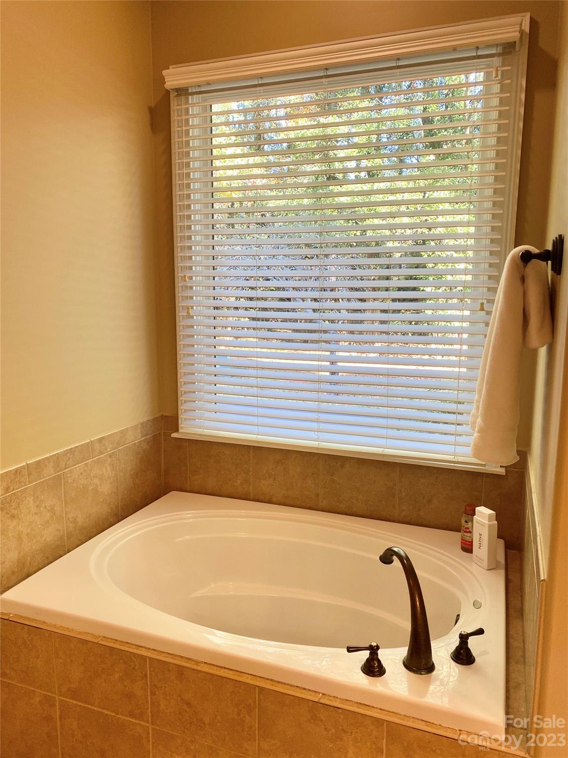13849 Beatties Ford Road Huntersville, NC 28078 - Photo 27 of 48 a bathroom with bathtub and window