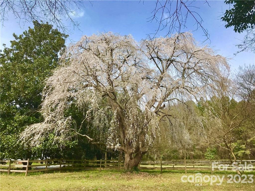 13849 Beatties Ford Road Huntersville, NC 28078 - Photo 42 of 48