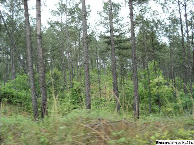 485 County Road, Unit 110 Clanton, AL 35046 - Photo 15 of 22