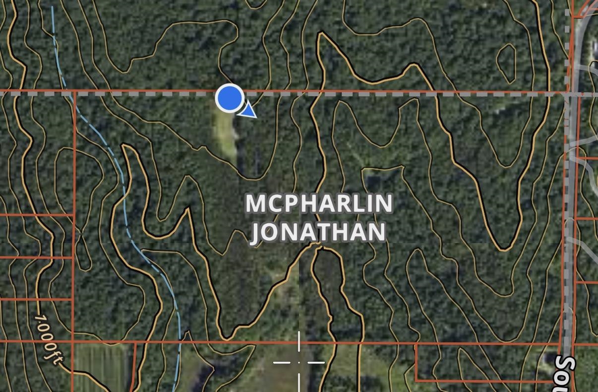 0 South Schomberg Road Cedar, MI 49621 - Photo 29 of 70