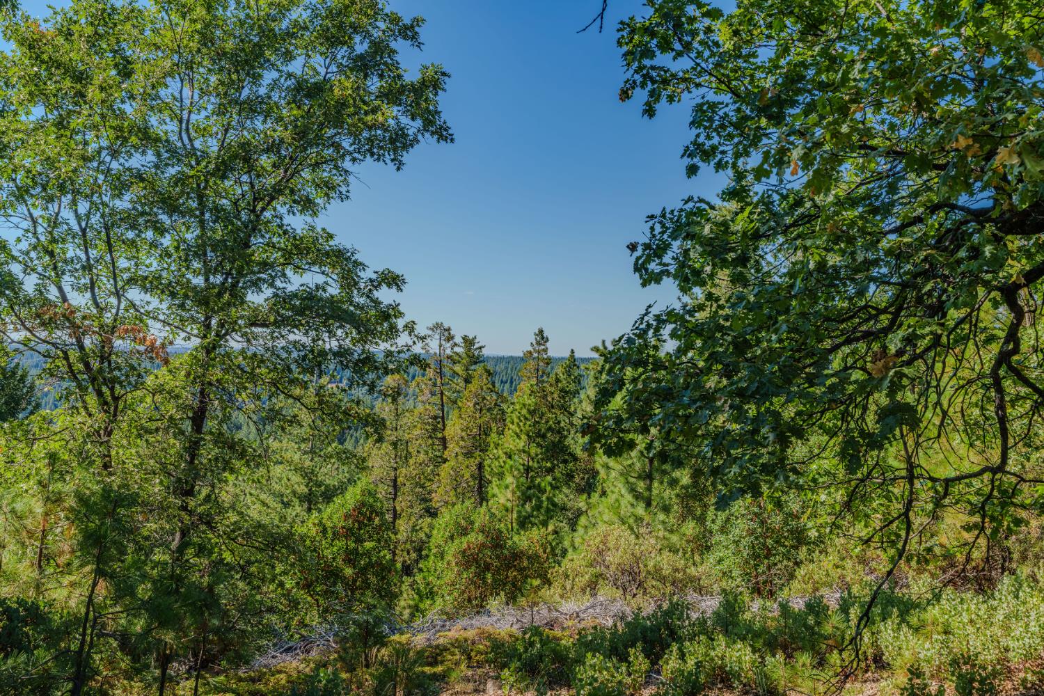 0 Silver Point Pioneer, CA 95666 - Photo 11 of 26
