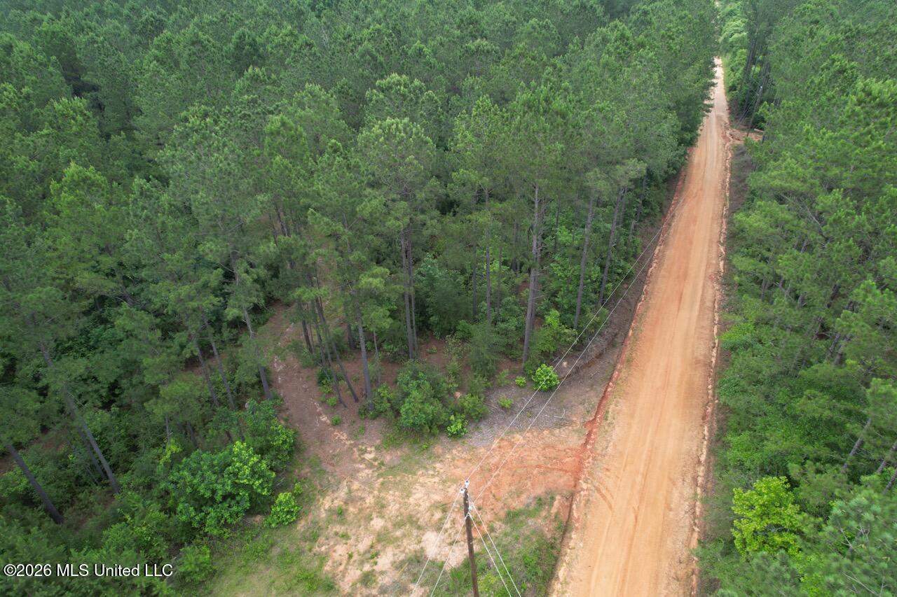 6643 Grange Hall Road Osyka, MS 39657 - Photo 32 of 39 DJI_0143 Large