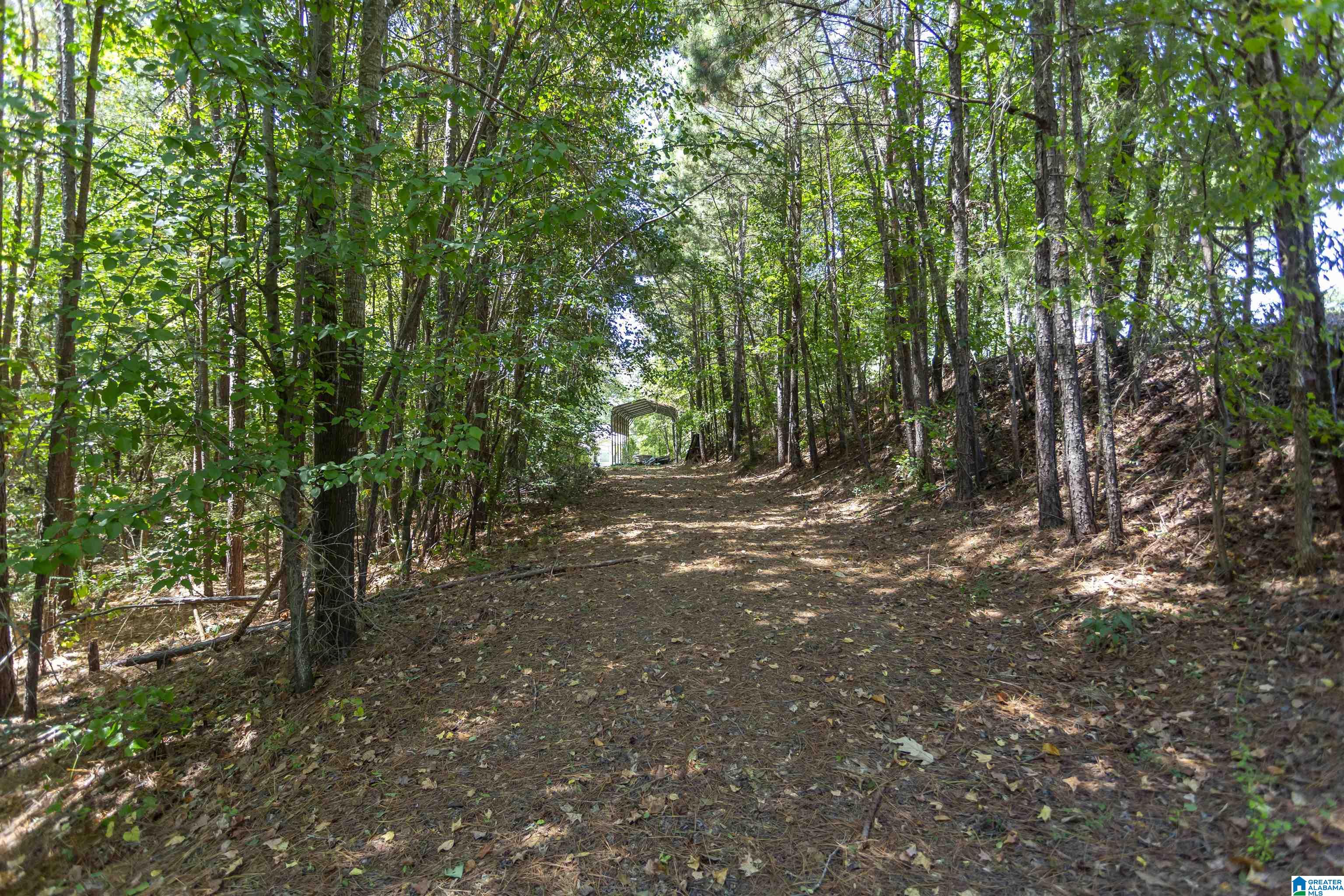 1901 Lakeside Drive McCalla, AL 35111 - Photo 10 of 63