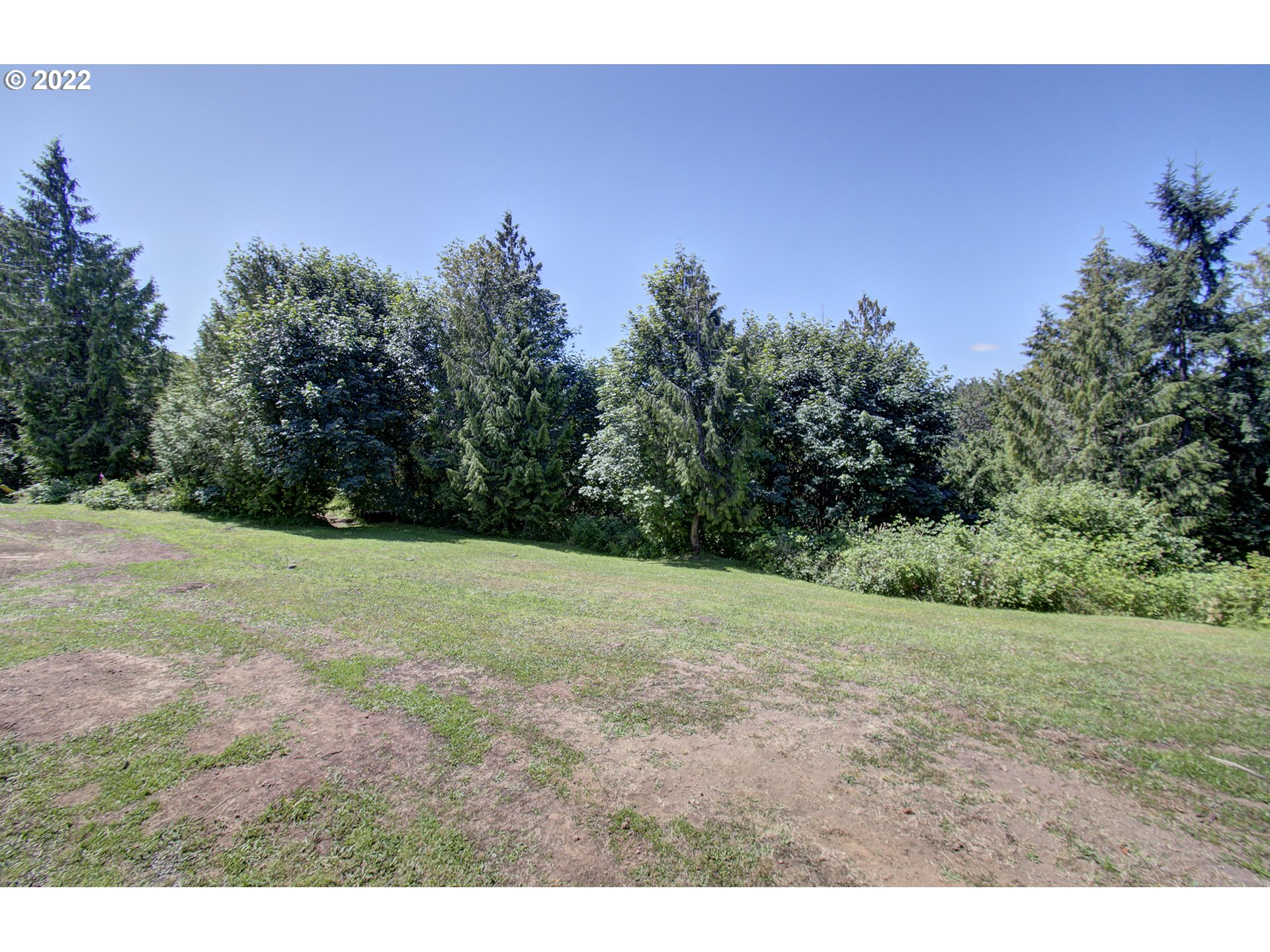 70446 Forest Park Road Rainier, OR 97048 - Photo 24 of 32 a view of a yard with a tree