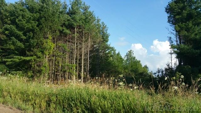 2929 Barnes Road Millington, MI 48746 - Photo 28 of 28