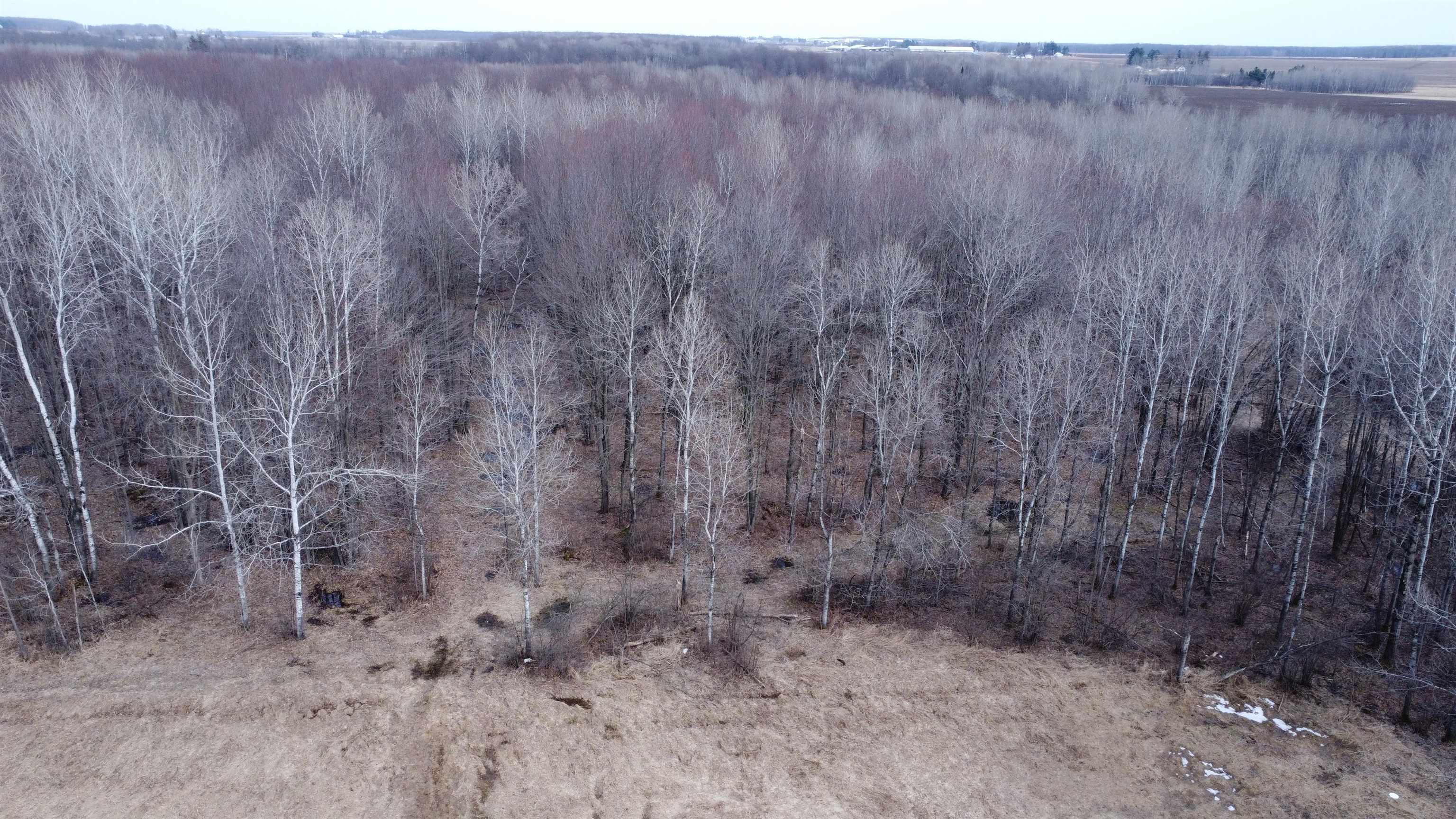 239095 Dawson Road Athens, WI 54411 - Photo 19 of 21