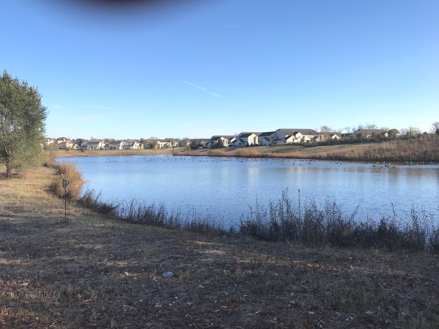 2624 Maple Circle West Dundee, IL 60118 - Photo 25 of 37 a view of a lake with houses in background