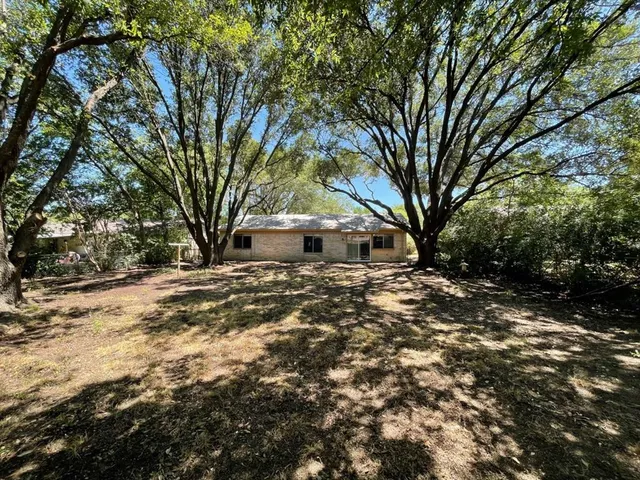 a view of a yard with trees