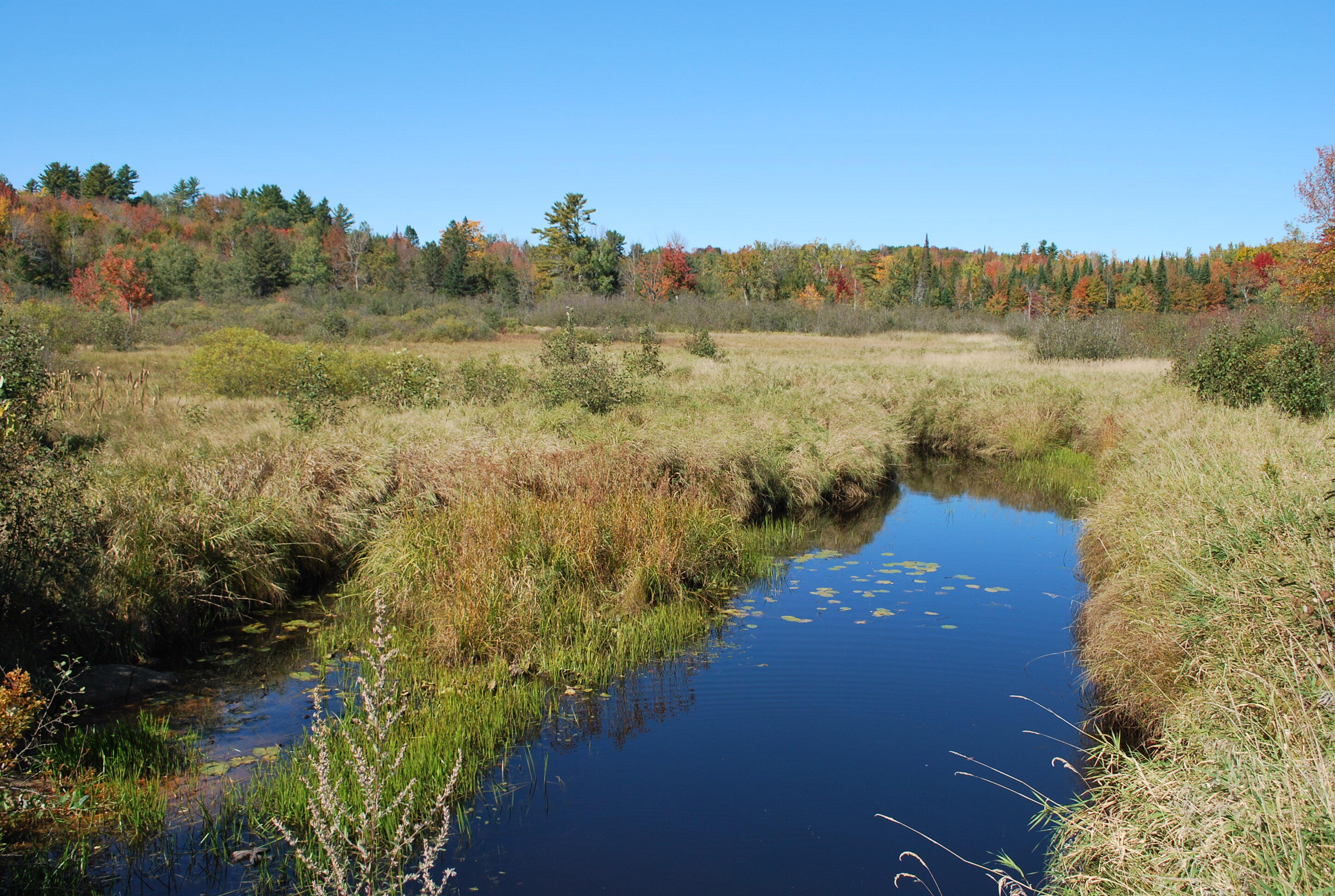Lot # Lot#9-1 Beans Corner Road Hartland, ME 04943 - Photo 4 of 8 Clowery--Beans Corner Road 003