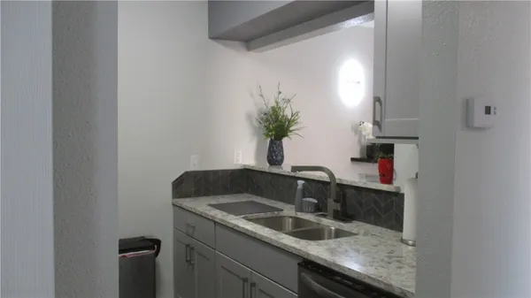 a close view of a sink and potted plant in a kitchen