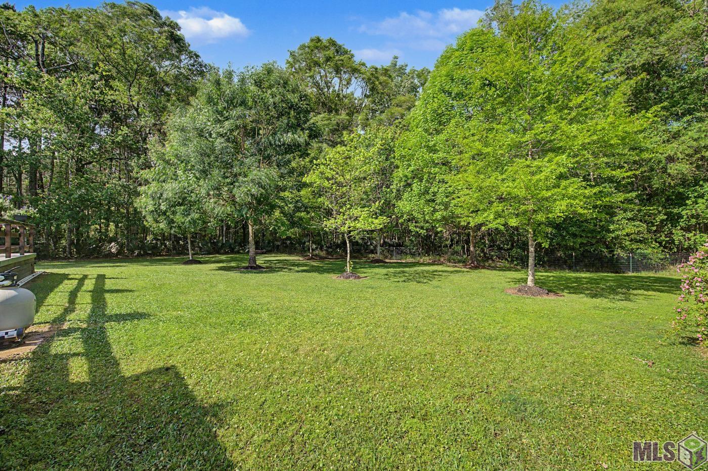 34545 Perkins Road Denham Springs, LA 70706 - Photo 41 of 44