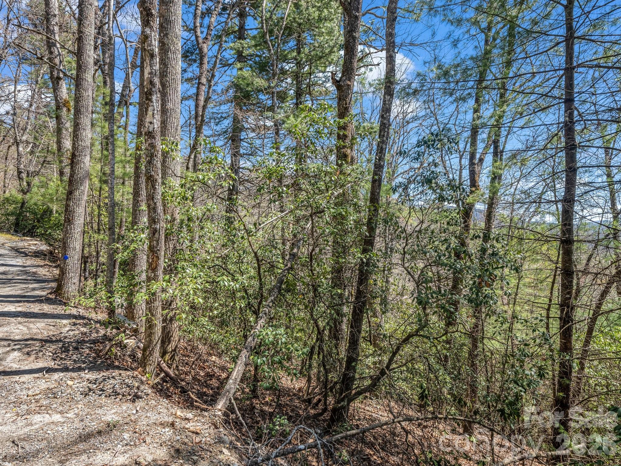 999 Bulling Creek Road Penrose, NC 28766 - Photo 5 of 37