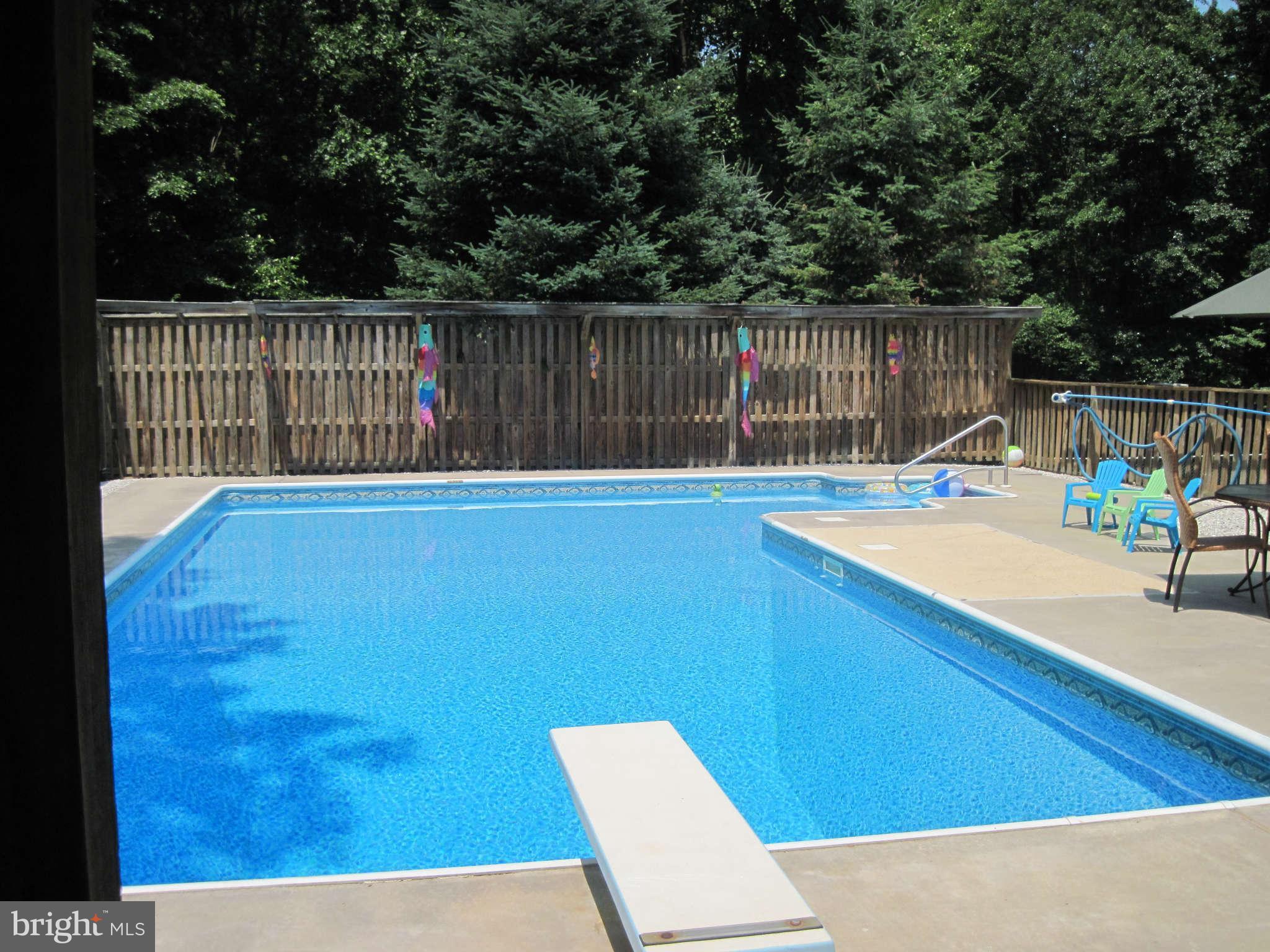1550 Kerr Road Whiteford, MD 21160 - Photo 8 of 24 20x40 inground pool