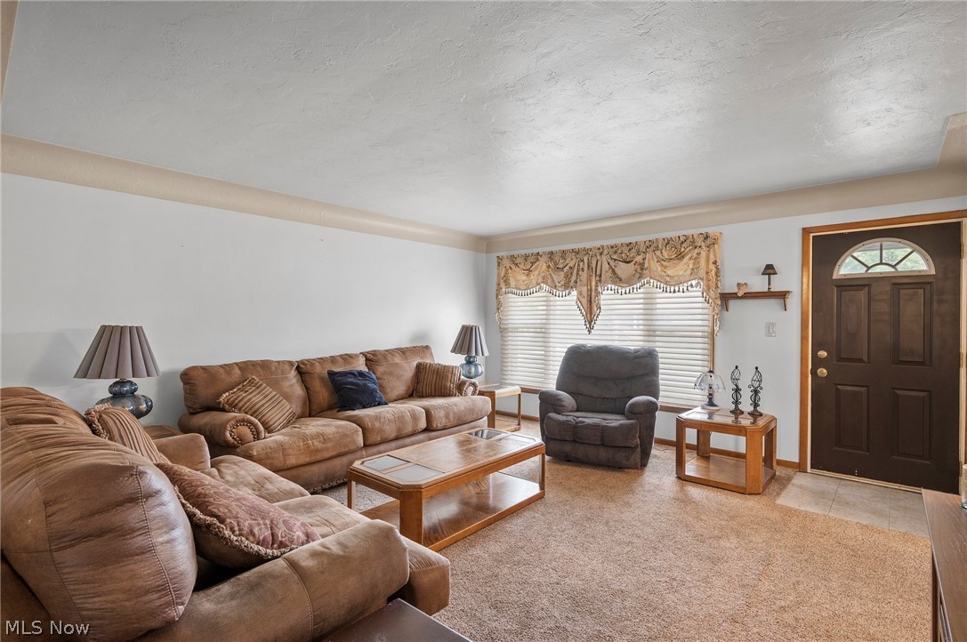 4113 Rabbit Run Drive Brooklyn, OH 44144 - Photo 14 of 28 Living room with carpet