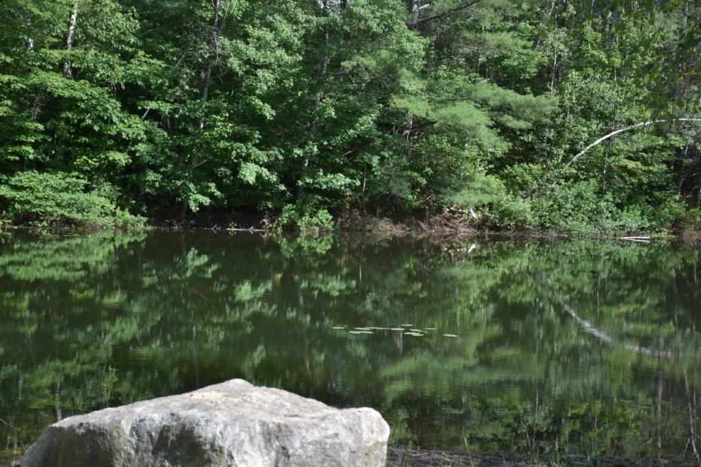 448 Stage Road Sanbornton, NH 03269 - Photo 3 of 34