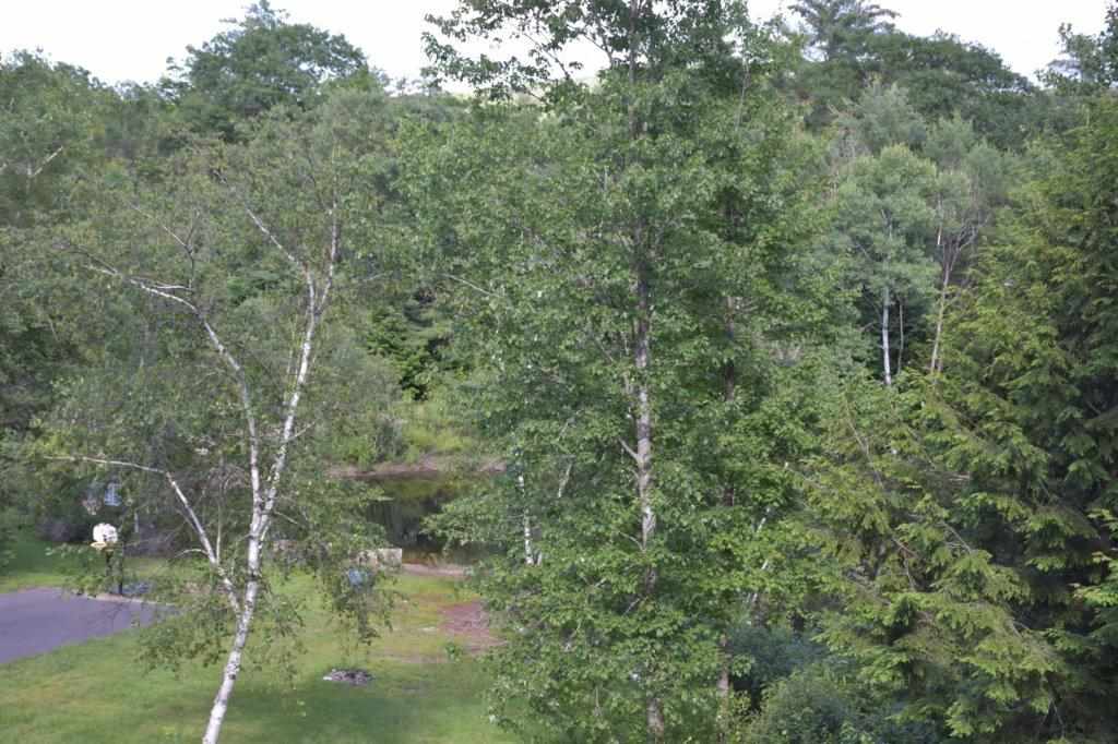 448 Stage Road Sanbornton, NH 03269 - Photo 4 of 34
