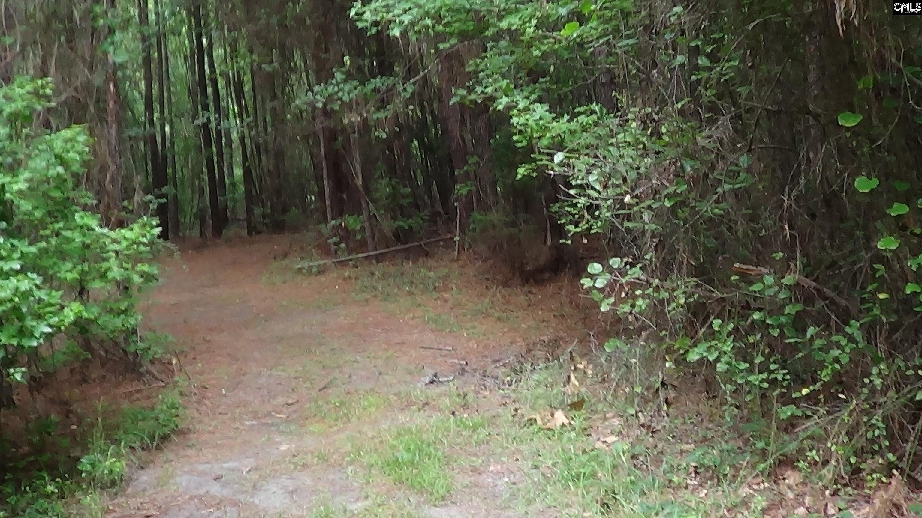 2815 Highway 1 Elgin, SC 29045 - Photo 17 of 17