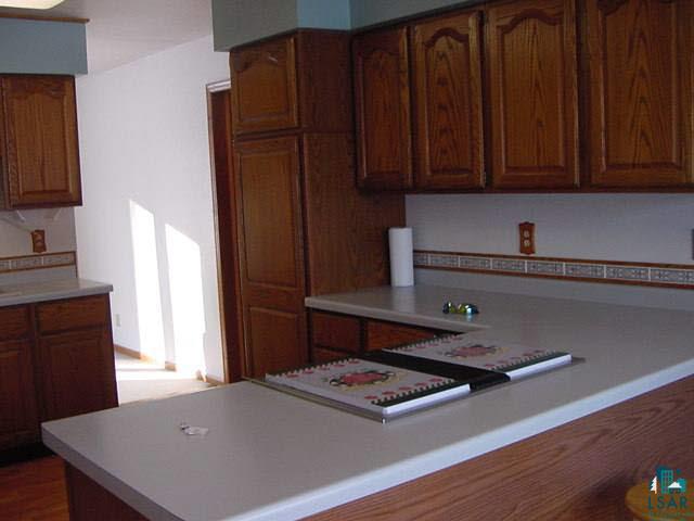 6951 South Maple Creek Road Lake Nebagamon, WI 54849 - Photo 3 of 9