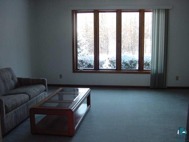 6951 South Maple Creek Road Lake Nebagamon, WI 54849 - Photo 4 of 9