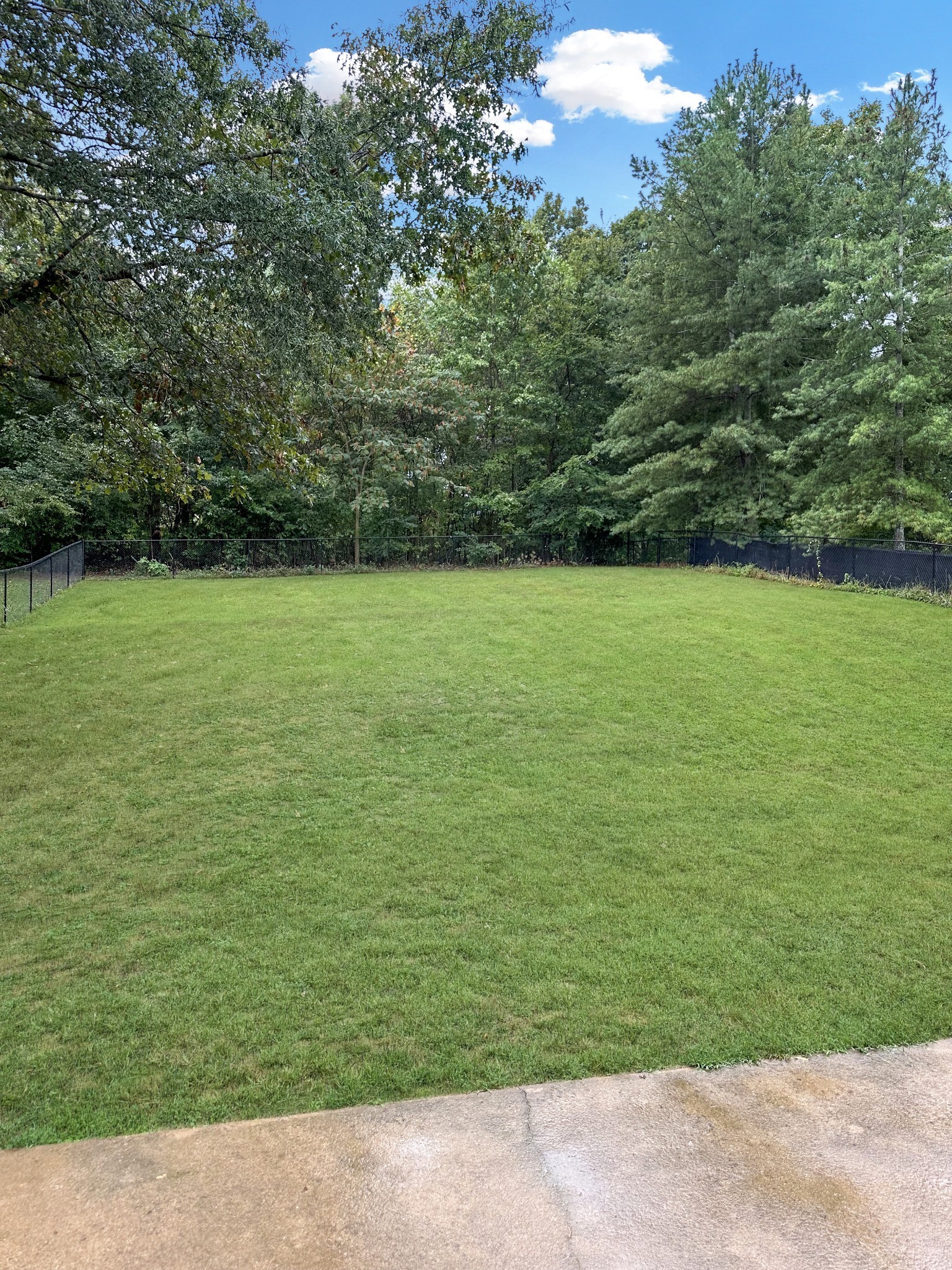 4320 Memory Lane Adams, TN 37010 - Photo 18 of 18