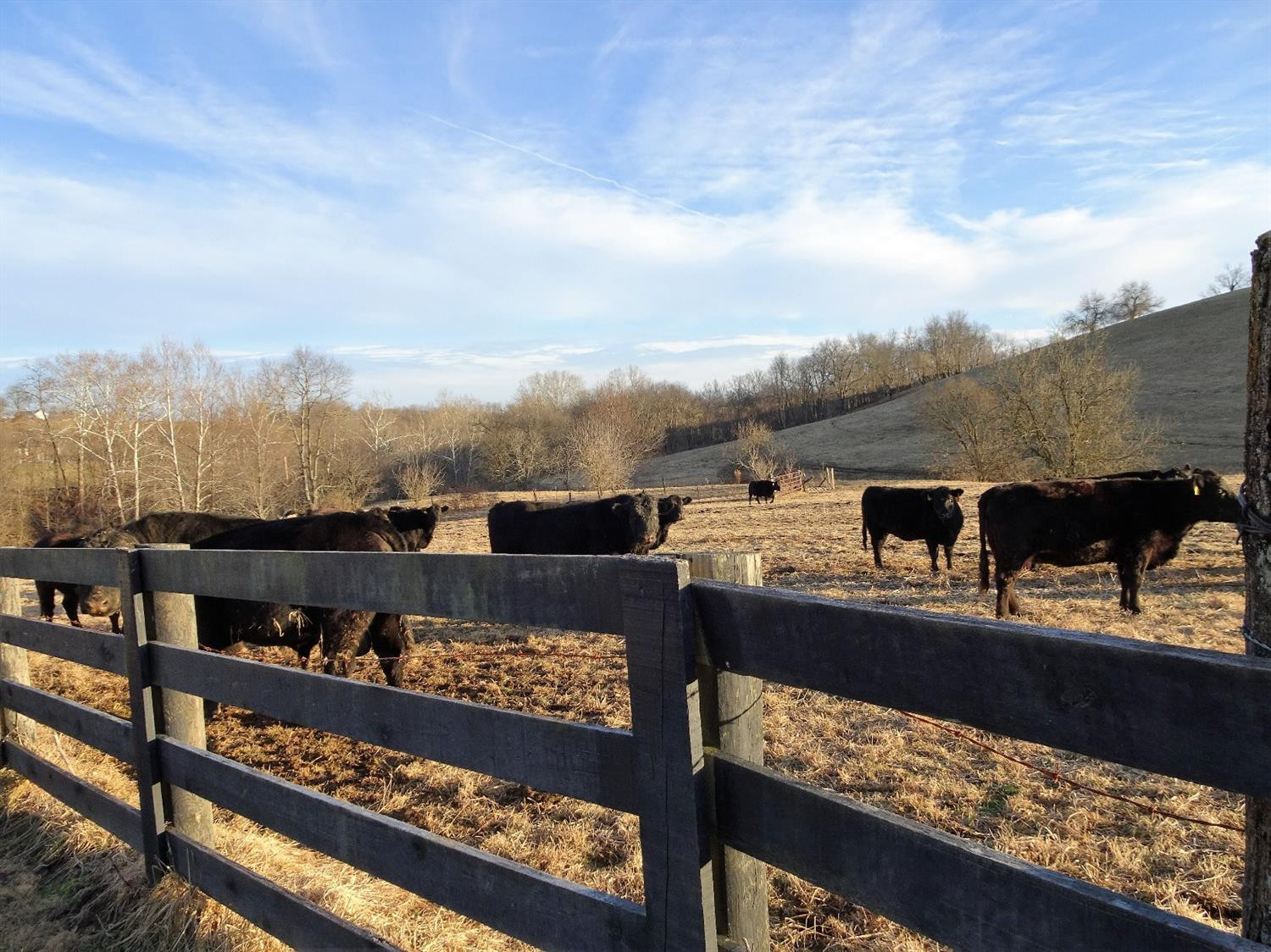 1357 Elkin Road Winchester, KY 40391 - Photo 49 of 60 Photo 49