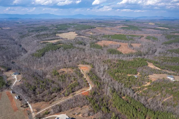 a view of a dry yard with lots of trees